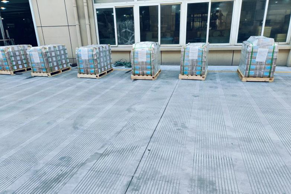 欧洲客户订购的一批无刷电机产品成功发货